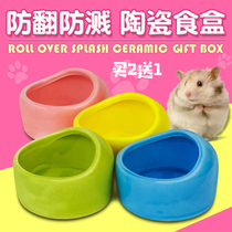 Hamster golden silk beveled feeder round food box ceramic bowl hedgehog bear guinea pig food bowl thickened ceramic feeding bowl