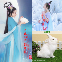 Change jade rabbit simulation rabbit size white rabbit doll rabbit pastoral decoration photo studio animal shooting props