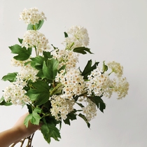 Small handball French Hydrangea crab claw chrysanthemum simulation wall material Plastic plant small chrysanthemum fruit fake flower put bunch of leaves
