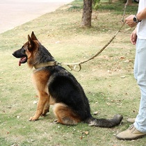 Outdoor Medium Large Dog Training Camouflak Dog Rope Walking Dog Chain Sub Pet Dog Tactical Explosion Protection telescopic traction belt
