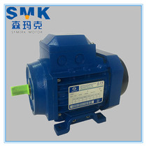 Spot supply Italy SEMIRKE Senmark three-phase asynchronous motor YS5624-0 09KW aluminum shell motor