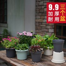 Universal resin flowerpot Holen pot plastic currant pot Green rosea balcony succulent plant flowerpot meat small flowerpot