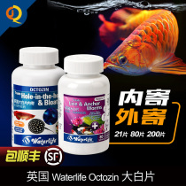 British Waterlife big white arrowfish fish tropical fish blindfolded head hole convex eye inside send out