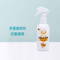 Surge Angel Bacteria Conspray 110ml Puppy Fungal Dermatosis Pussy Feline Cat Moss Mycocon