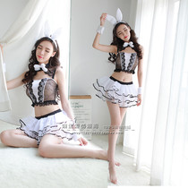 Interest lingerie Vimeo Sexy Rabbit girl Uniform Temptation Lace teasing short skirts Pivot Cute Passion Suit