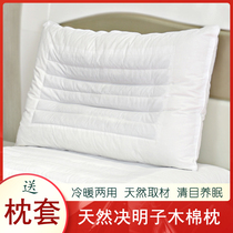 Natural Dec Mingzu Pillow Cell Cotton Pillow Single Person Sleep Carving Cervical Spirit Pillow Heart Send Pillow Case in Winter
