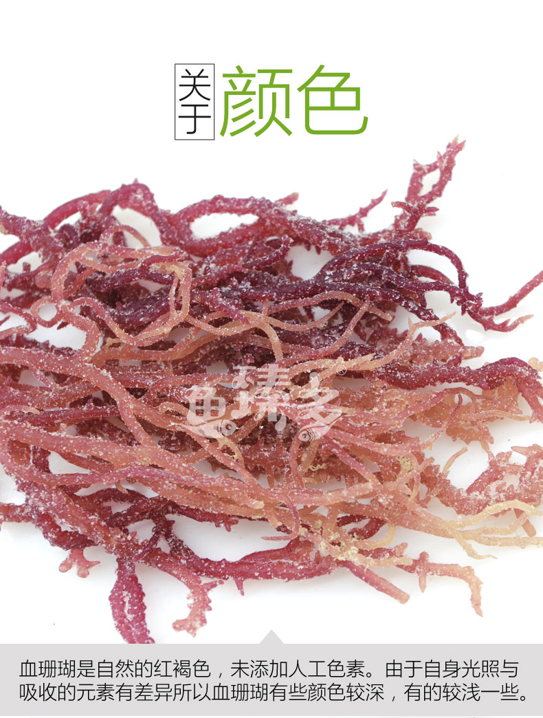 海底燕窝 鱼臻多 盐渍血珊瑚 500g 去纹补血延缓衰老