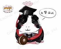 TSPP (hand painted portrait)Guinea Pig Mother-in-law Hamster Hedgehog Chinchilla Rabbit Groundhog Cat dog portrait