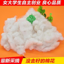 Xinjiang cotton seed cotton as quilts for marriage with seed cotton flowers without seed cotton old people with dead Cotton