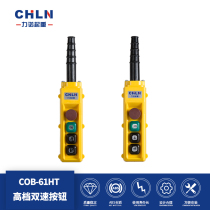 Liano Lifting double speed button switch COB-61HT hand electric door rain-proof button switch (COBY-61HBS)