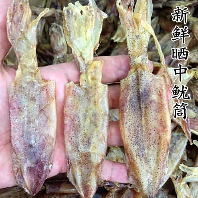 包邮南澳海味干货 吹筒仔2a鱿鱼筒吊鱿筒灯光吹筒仔中鱿鱼仔250g_7折