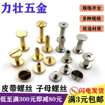 Pure copper belt screw album lock docking mother and child rivets Recipe album plated mother and child nails model clip screws