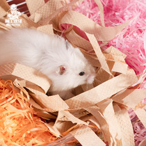 Cute main driving to hamster toy game note golden silk bear flowers branch rat through heart pink rat cushion material free forest