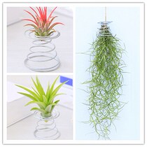 Air pineapple spring bracket soilless plant green plant base bracket spiral flower stand iron art