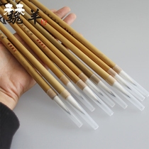 Students are beginner calligraphy Chinese painting landscape freehand brushwork large medium and small Baiyun brush and dyed coloring brush