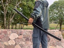 Cartoon Warrior Blade Film & Film Treasure Sword ABS Hard Plastic Collection Model Practice Gift Adult Children Toys Unopened Blades