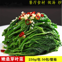 Fresh frozen mulberry leaves soup tender Mulberry Bud 250g * 50 bags box Restaurant stir-fried soup natural green food