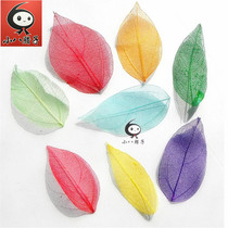 Colorful Leafy Veins Leaves Emraw Flower Embossing DIY Material Bookmark Photo Frame China Wind Paper Decoration