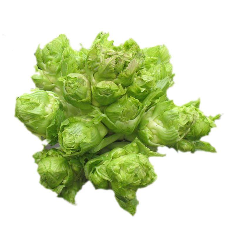 农家自制干儿菜高山儿菜干四面山富硒儿菜干货煲汤食材500g