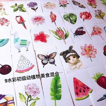 Custom A4 plastic packaging children's art small fresh watercolor plant landscape copy card color model painting art material