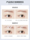 Pramy Purses Drizzle 설정 액체 야생 눈썹베이스 설정 크림 방수 땀 방지 메이크업 Boruimei Pramy Purses Drizzle 설정 액체 야생 눈썹베이스 설정 크림 방수 땀 방지 메이크업 Boruimei