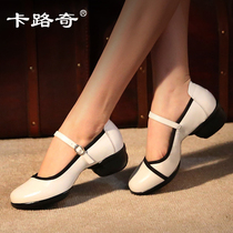 Kalucci square dance shoes womens leather diving sailor jazz dance shoes adult mid-heel soft-soled four seasons dancing shoes
