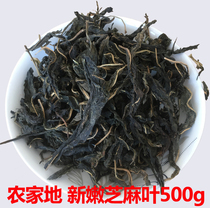 Fresh sesame leaves dried sesame leaves Henan farmhouse dried vegetables sesame leaves 500g