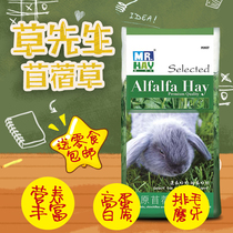 Spot Mr Hay Grass alfalfa 500g rabbit Chinchilla guinea pig forage nutrition Hay MH07