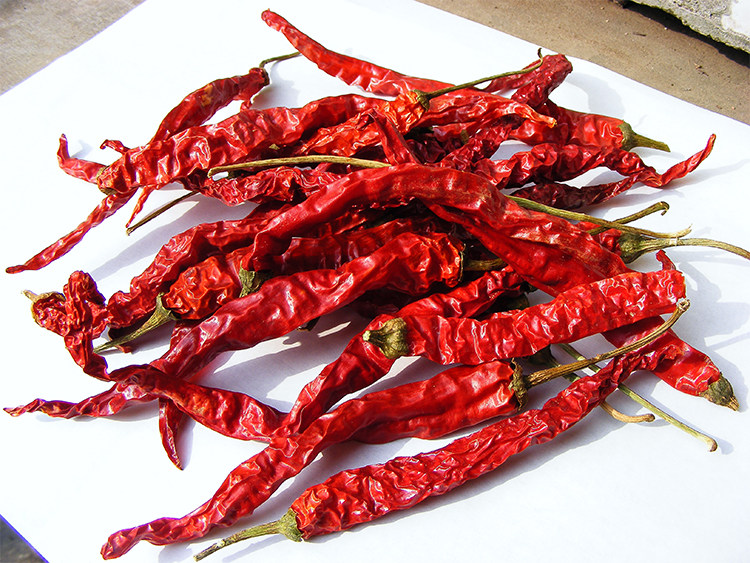 凤翔干辣椒 农家线线辣子 无把秦椒 秦椒 500克 陕西特产红辣椒