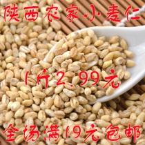 500g Shaanxi wheat kernel new barley barley grain farmer peeling wheat kernel rice coarse grain porridge with wheat