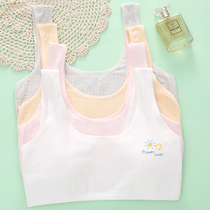 Teenage Girl Lingerie Hair Education Middle School Students High School Girls Junior High School Girls Big Boy Vest Sports Bra Summer Thin