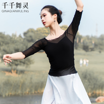 Ballet Dance Adult Practice Gown Gown Gong Sleeve Gauze Body Body Body Body Playwear Body Body Warmy Classical Dance Clothing