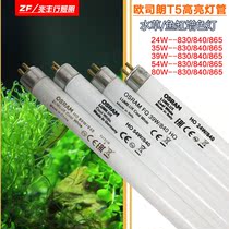 Osram tube T5HO aquatic lamp 24W35W39W49W54W80W840865 day fluorescent lamp