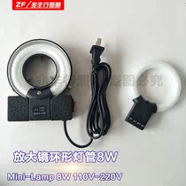 Magnifying glass tube microscope mirror light source 110V 220V 8W ring round tube white light mini-Lamp