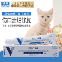 Ru Gel Pet Wound Healing Germicidal Pooch Abscess Kittoenyelitis Kitty Feline Fungal Infection