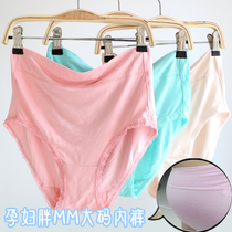 Pregnant women plus size modal fat mm comfortable cotton belly pants belly pants maternity shorts foreign trade briefs