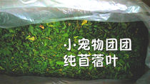 20 years new grass pure hand picking alfalfa grass leaves no rabbit rabbit Chinchow net pig alfalfa net weight 500g