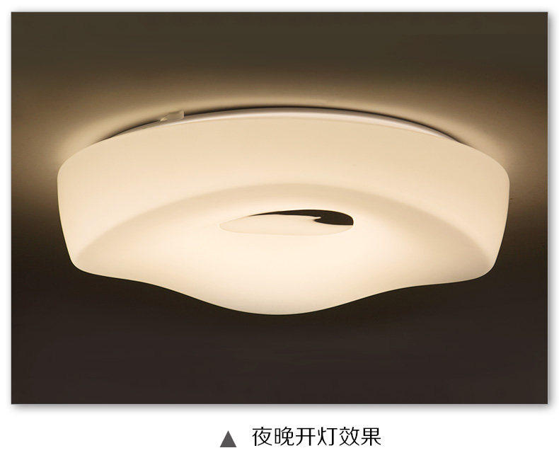 维港 个性创意吸顶灯卧室灯餐厅led房间灯简约现代温馨浪漫灯具