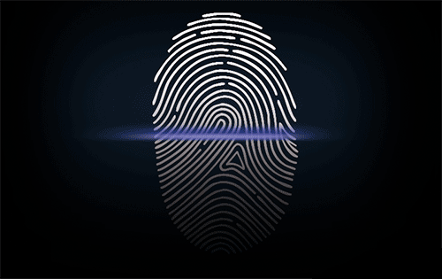 500_315gif 动态图 动图