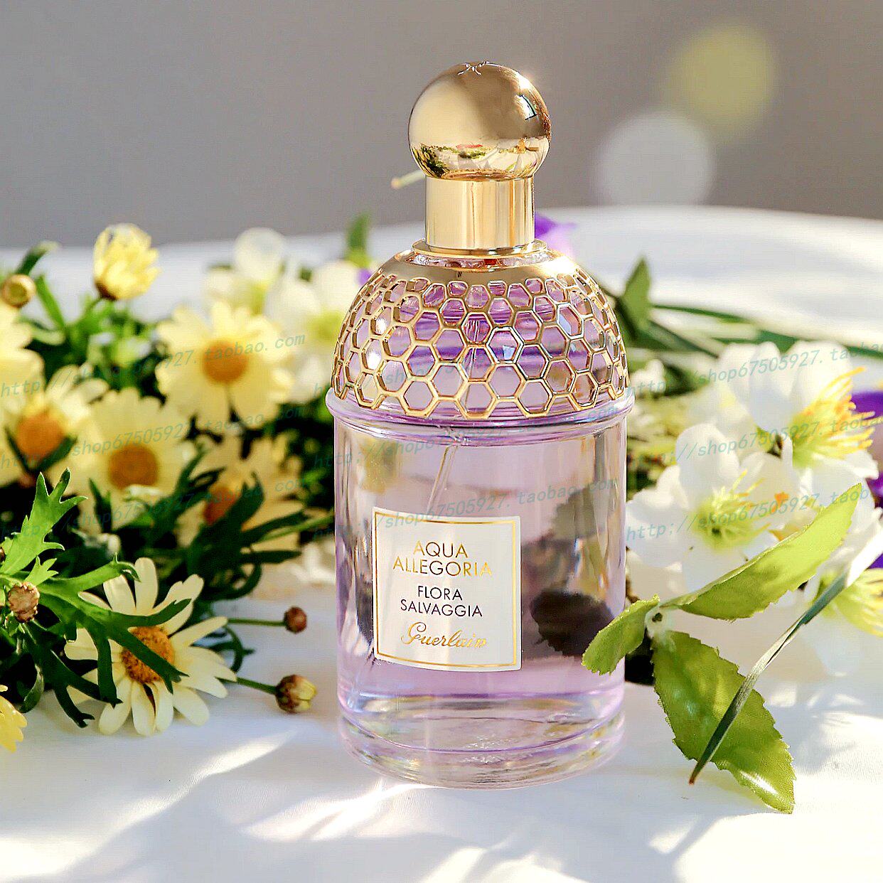 guerlain娇兰花草水语系列florasalvaggia芳野仙踪女士香水花香调