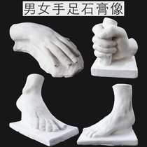 Art supplies Painting room supporting plaster statue model Men and women hands and feet Sketch still life teaching aids Art examination Sculpture ornaments