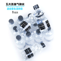 Wudalianchi mineral water natural gas fire ice volcanic mineral sparkling water 330ml*24 bottles of zero sugar and zero card