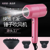 Cross-border 110V 240V Hairdryer Ingauge Japan American Study Abroad Home Hammer Portable Electric Hair Dryer