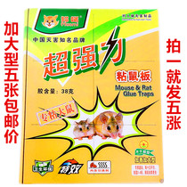 Cat strong sticky big mouse sticky mouse board Home school kitchen sticky mouse board 5 sheets price plus type