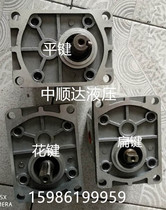 Tianjin Shunda hydraulic gear oil pump CBN-316 320 325 flat key spline flat key turn right turn left