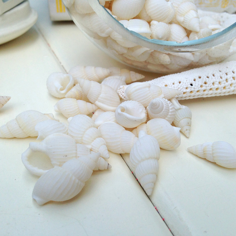 海贝海 300个小米螺 天然贝壳海螺 diy相框 工艺品原料