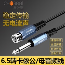Akihabara 6 5mm to XLR male and female audio cable 6 35mm Canon audio microphone cable Microphone cable