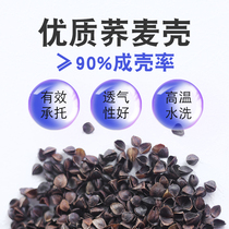 Buckwheat Hull Buckwheat Peel Bulk Special neck pillows pillow Adult Student Padding Assisted Sleep Cervical Spine Pillow Pillow Inner