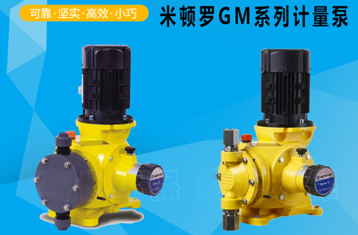 MiltonRoy米顿罗电机式计量泵 GM系列 GB系列机械隔膜泵 加药泵