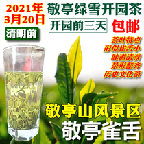 Jingting Bird Tongue 2021 Qingming before Jingting Green Snow Open Garden Tea Xuancheng Special Spring Tea Green Tea 100 grams